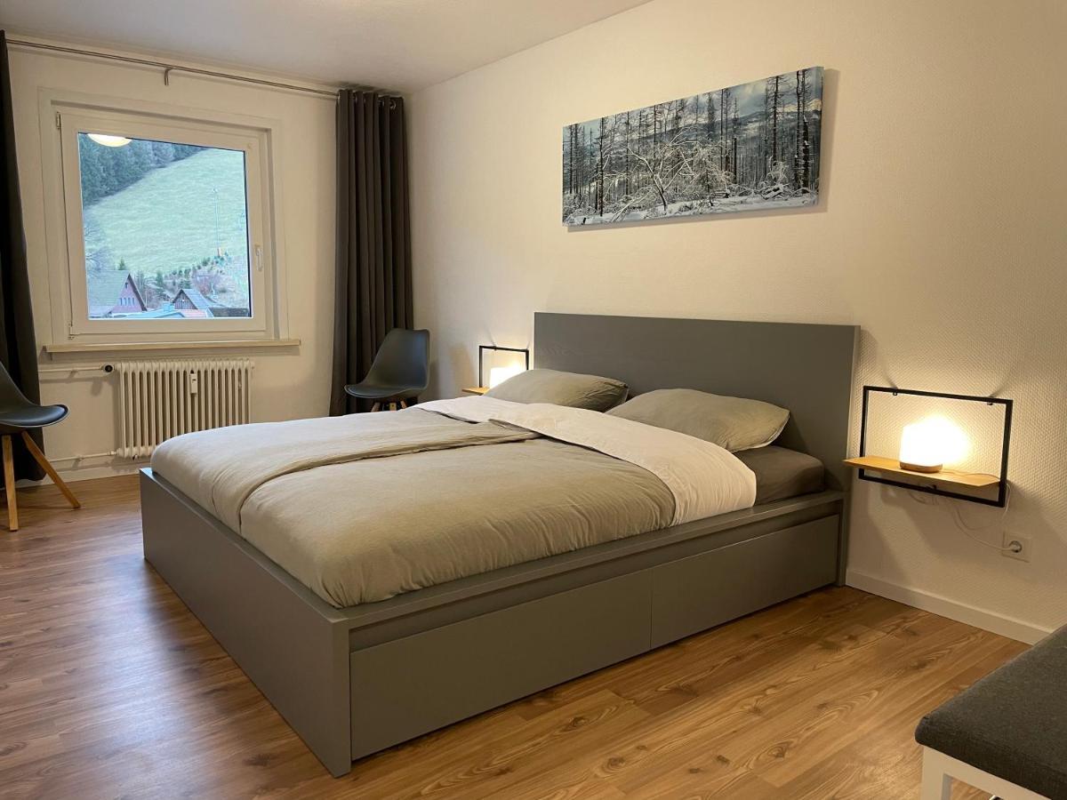 Ferienwohnung Breeman im Harz Sankt Andreasberg Exterior foto