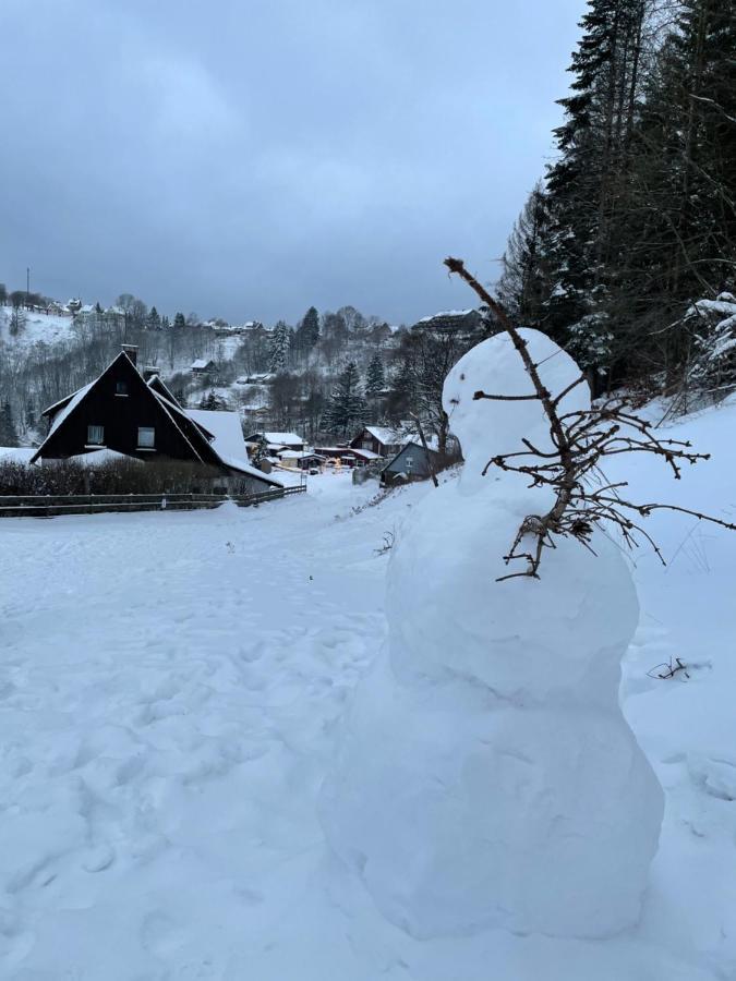 Ferienwohnung Breeman im Harz Sankt Andreasberg Exterior foto